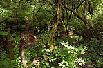 IMG_6313_1