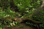IMG_6323_1