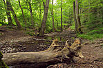IMG_6373_1