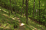 IMG_6339_1