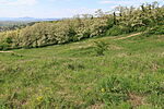 Domboldal