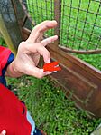 IMG_20240517_153618
