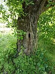 IMG_20240501_120643