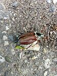 IMG_20240501_120441