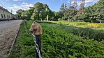 IMG_20240514_180509