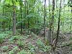 P1040151