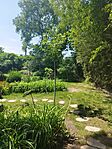 IMG_20240511_115839