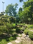 IMG_20240511_115737
