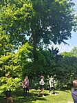 IMG_20240511_115511