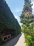 IMG_20240511_115055