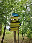 IMG_20240524_123153