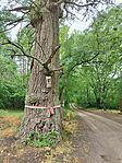 IMG_20240524_122055