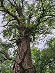 IMG_20240524_122102