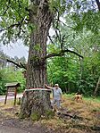 IMG_20240524_123500