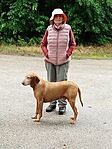 IMG_20240524_123832