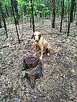 IMG_20240524_122438
