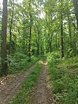 IMG_20240524_173238