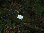 P5253996