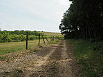 P5254006