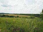 P5254025