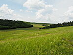 P5254040