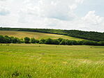 P5254041