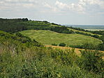 P5254070