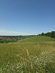 IMG_20240624_104733