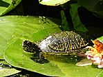 DSCN1591