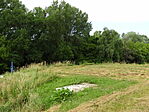 DSCN1618