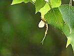DSCN1632