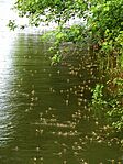 DSCN1744