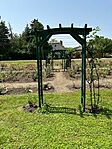 IMG_3202
