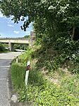 IMG_4533
