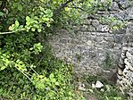 IMG_4541