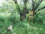 DSCN3605