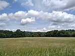 IMG_20240609_124736