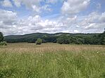 IMG_20240609_124001