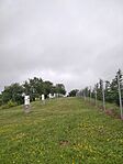 IMG_20240622_094728