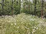 IMG_20240623_104141