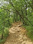 IMG_20240622_130822