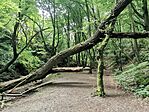 IMG_20240622_140134
