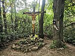 IMG_20240622_111921