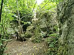 IMG_20240622_112514