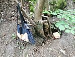 IMG_20240622_112552