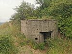 IMG_20240622_071915
