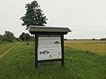 IMG_20240613_161821