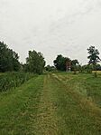 IMG_20240613_161843