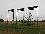 IMG_20240613_161912
