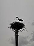 IMG_20240613_162303